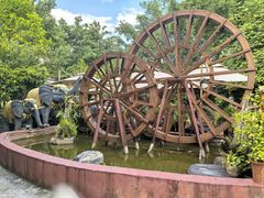 -品德宏·孔雀宴的发源地(金塔园店)