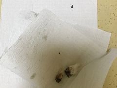 -乖乖宠物医院·猫科·急重症中心(车站北路分院)
