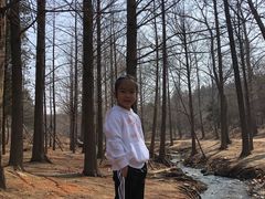 -白水寺森林公园