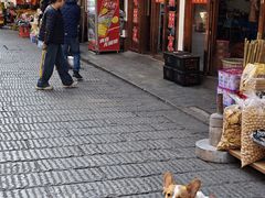 -南岳衡山风景名胜区-南岳大庙