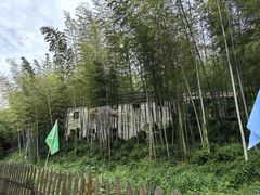 -宜兴张公洞