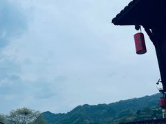 -后柳水乡