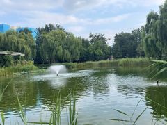 -顺峰山公园