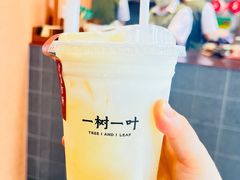 -一树一叶·福建茶档(石鼓路店)