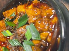 -陈麻婆豆腐(旗舰店)