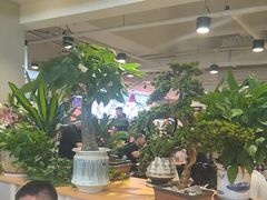 -老谢野馄饨(延安路店)