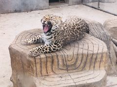 -龙口动植物园