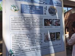-青藏高原野生动物园