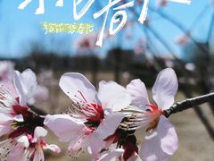 -杨柳青古镇