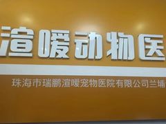 -渲嗳动物医院(异宠·复杂内科转诊中心·玖洲道富华里分院)