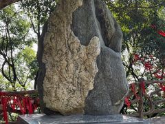 -广州市帽峰山景区