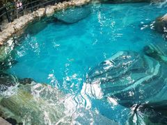 -湖泉半山温泉(湖泉生态园)