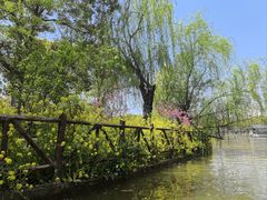 -南汇桃花村