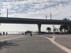 -宝安西湾红树林湿地公园