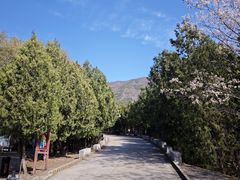-北京十三陵国家森林公园蟒山景区