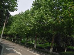 -龙头寺公园
