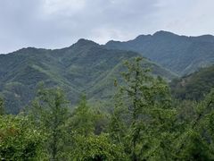-莫干山风景区
