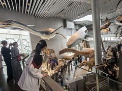 -上海大自然野生昆虫馆(东方明珠·爬宠昆虫探索中心)