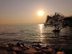 -宝安西湾红树林湿地公园