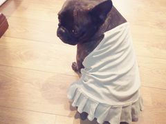 -京玉菲饭店(李村店)