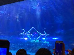 -华夏文旅海洋公园