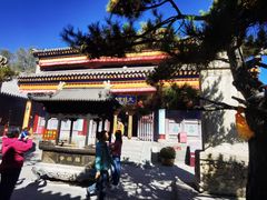 -五台山风景名胜区-罗睺寺