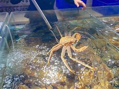 -蟹之国·精品蟹料理(极地店)