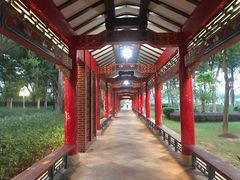 -顺峰山公园