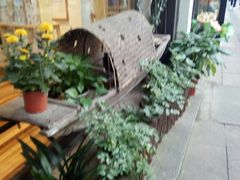 -猫的天空之城概念书店(杭州南宋御街店)