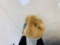 -北京观赏动物医院·24小时大型综合·猫专科·异宠专科