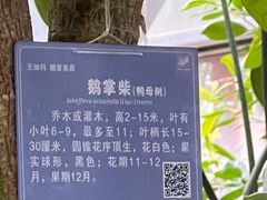 -南山植物园