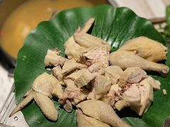花胶响锣鸡汤底-汤城·料青山