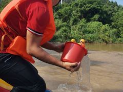 -长泰漂流水陆空景区