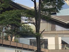 -成都市活水公园
