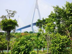 -芒洲湿地公园