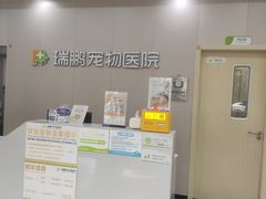 -瑞鹏宠物医院·骨外科·心肾科·肿瘤科(九亭店)