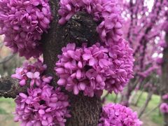 -新疆天山野生动物园