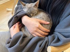 -Let's go狗咖·猫咖·奶狗·桌游(春熙路IFS店)