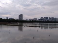 -南宁南湖公园