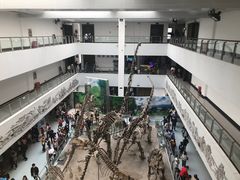 -中国地质大学逸夫博物馆