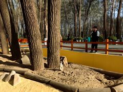 -北京野生动物园