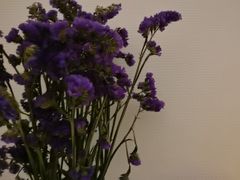 -LANN I 蘭 SPA(陆家嘴中心店)