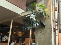 -生如夏花泰式火锅(西村黑金店)