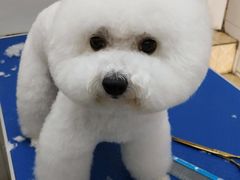 -汪喵宠物医院·骨科心脏影像·犬猫急重症ICU诊疗中心(成华分院)