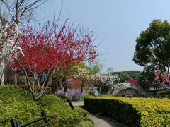 -圩墩遗址公园