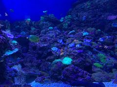 -成都浩海立方海洋公园