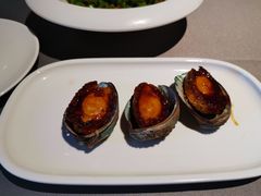 葱油大连中鲍鱼-徐记海鲜(汉城湖|太奥店)