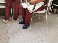 -纳吉亚猫专科动物医院(康都外科中心)