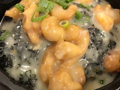 -石锅先生