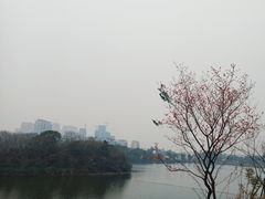 -三圣花乡旅游区